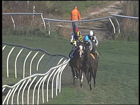 Galoppo 12/12/2015 - 2° corsa