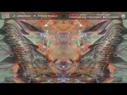 Somatoast and Pickles Visuals 2020 Featherbed stream mix