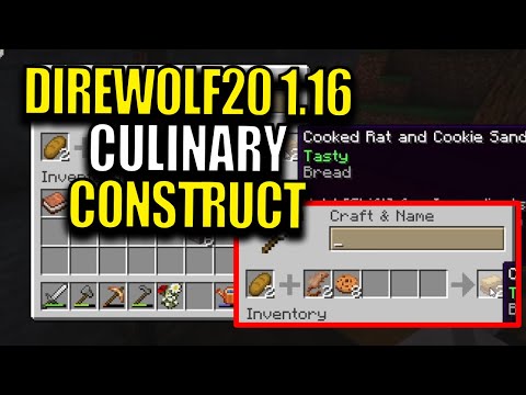 Minecraft Direwolf20 Modpack 1.16 Ep 3 - Culinary Construct
