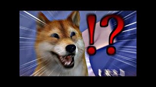 【柴犬】が『エ〇ゲー』をやってみた結果...。【Seriously fucking video】