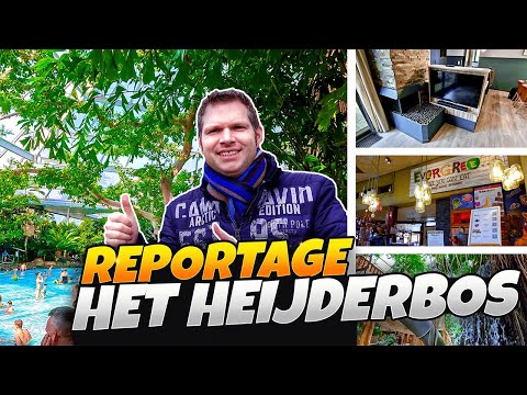 Reportage | Center Parcs Het Heijderbos 2023 | Aqua Mundo, Jungle Dome, VIP-Ferienhaus | 4K/UHD