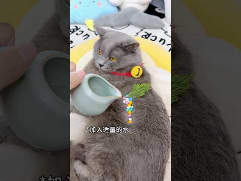ฉันเลี้ยงปลาบนตัวแมว
