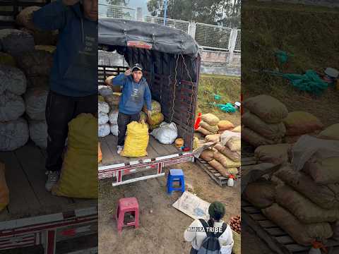 Quinchuqui- Imbabura- Ecuador Feria todo los Sábados #ferias #otavalo #imbabura #ecuador #shorts