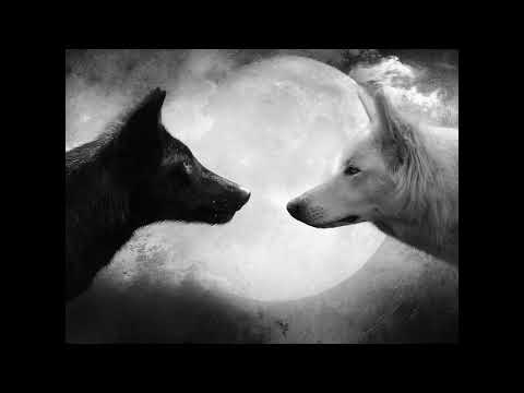 Kendi - Gołym okiem widać