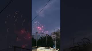 隅田川の花火2025