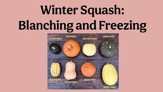 Veggie Guide: Freezing Winter Squash