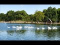 London Lakes Picturesque Lakes In London Lakes In London Parks London Outing London Travel