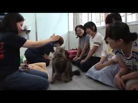 麻布大学 オープンキャンパス2015_2_公開授業