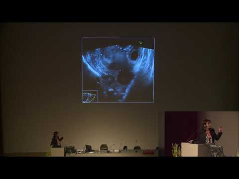 Day 2 - Session 11 - Antonia Testa