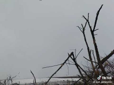 UKRAINIAN WAR - COMBAT FACE TO FACE +18