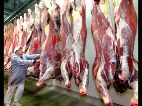 VERSKLAVUNGSINSTRUMENT WERKVERTRAG