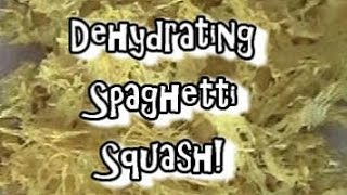 Dehydrating Spaghetti Squash