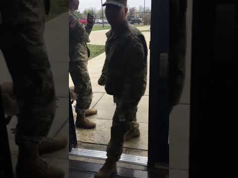 Soldier attacked by goose