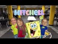Mitchell