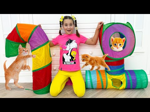 Sofia builds a play area and house for her kitten