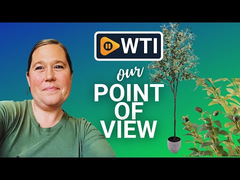 Povy Artificial Olive Trees - WTI product video review