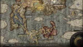 [ps4]　 裸一貫エルデンリング