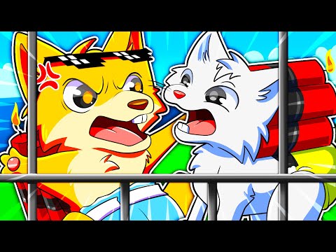 LA NUOVA MAPPA DI WHO'S YOUR DADDY È ILLEGALE CON DRCAT! CI SONO SEGRETI ASSURDI! *FINITO MALE*