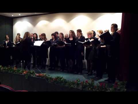 Alegria Oda Korosu - Daglar