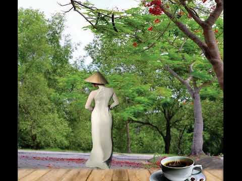 Say mơ - Thái Hoà