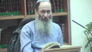 15215-7 מה בעייתי בלגדל כלבים וחתולים?