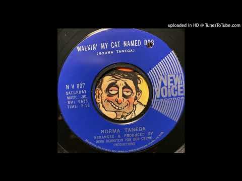 Norma Tanega - Walkin' My Cat Named Dog (New Voice) 1966