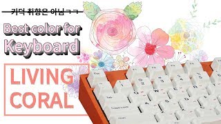 COX CARAVEL108 게이트론 교체축 RGB 염료승화 PBT 리빙코랄 (황축)_동영상_이미지
