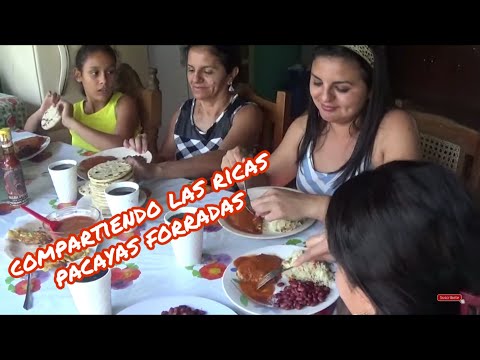 COMIDA TÍPICA DE EL SALVADOR PACAYAS FORRADAS(EMBUELTAS) UNA DELICIA SALVADOREÑA