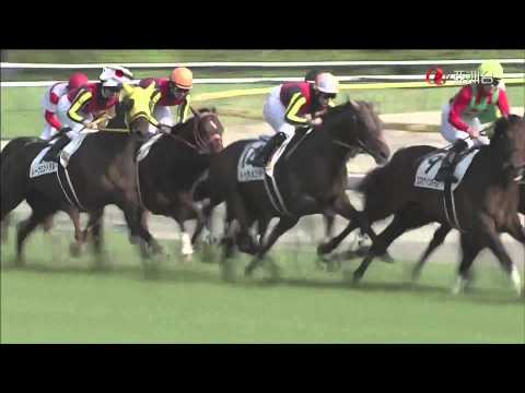 2015 Tokyo Yushun (Japanese Derby) - Duramente {1080p HD}