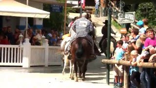 preview picture of video 'Pullman City Westernpferd 2014'