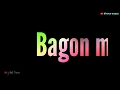 Bole Jo Koyal Baagon Me New Tiktok Trending Video Whatsapp Status Video Lyrics