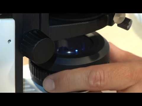 Köhlern Köhlersche Beleuchtung