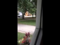 Fatal crash with fire and garbage truck by Tray Cashman
