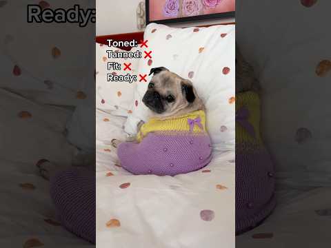 Ready for chonk PUGTATO summer season 🥔☀️ #pug #dog #chonky #funny