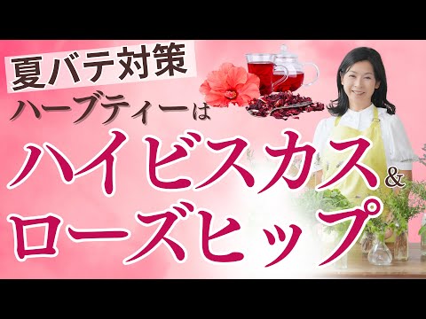 医療ビジネス薬科学科 【夏バテ対策】ハーブティーはハイビスカス&ローズヒップ