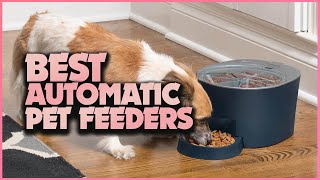 The Best Automatic Pet Feeders: Never Worry About Feeding Your Pet Again