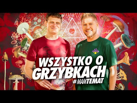 Grzybki: wszystko, co musisz wiedzieć! | Maciej Lorenc #MamTemat 41