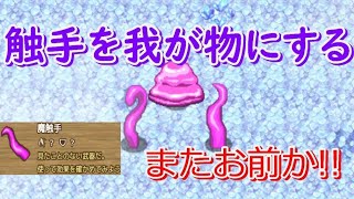 魔女を襲った触手をついに手に入れたｗ 神ポケモンもゲット 魔王わりと良いやつ 勇者のトロフィー ぶきあつめ 実況プレイ#12