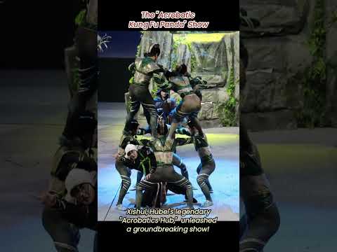 A panda defying gravity with Kung Fu moves? Absolutely real🐼 #acrobatics #amazing #kungfu #panda