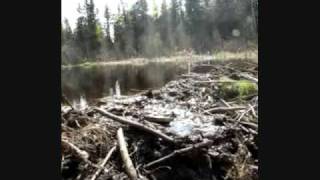 preview picture of video 'Beaver Slough 1, Fort McKay, Alberta, Canada (Athabasca oil sands)'