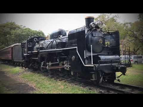 小金井公園のC57 186とスハフ32 2146