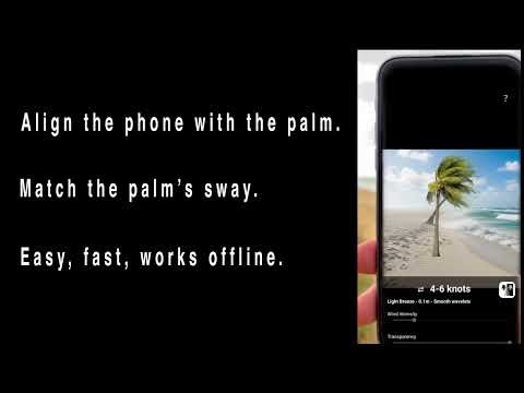 Palm Wind