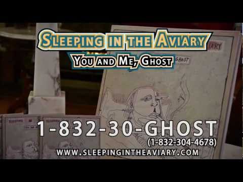 Sleeping in the Aviary - You and Me, Ghost - Album Infomercial