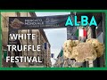 White Truffle Festival Tartufo Bianco D Alba Piemonte Italy