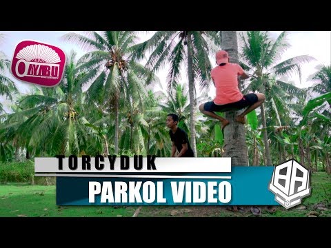 TORCYDUK ( Parkol #27 )