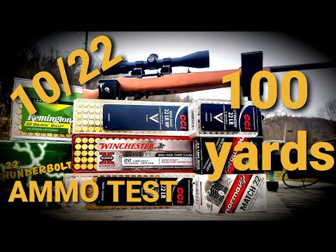 Ruger 10/22 - 100 yard ammo test