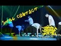 Still Contact Showcase Breaking Battle Brazil Edição Especial 2016