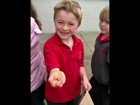 A year in our garden