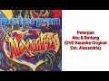 Peterpan Aku Bintang DVD Karaoke Original Ost Alexandria