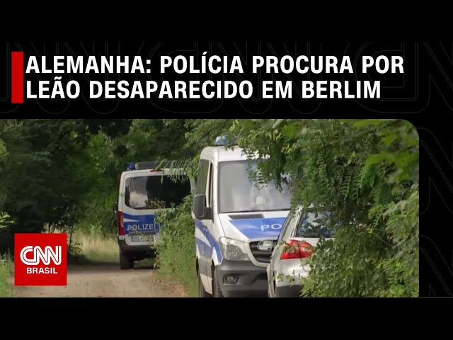 Alemanha: Polícia procura por Leão desaparecido em Berlim | CNN NOVO DIA